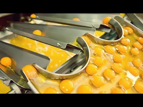 Food Production Factory Will Surprise You - Food Industry Machines With Incredible Technology