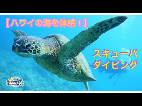 【ハワイのアクティビティ】ハワイに来たらスキューバダイビング！！Scuba Diving in Hawaii