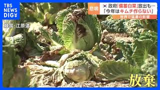 「夏野菜でさえ夏バテ」暑さで葉もの野菜高騰！韓国ではキムチに欠かせない「備蓄白菜」も放出する事態に…｜TBS NEWS DIG