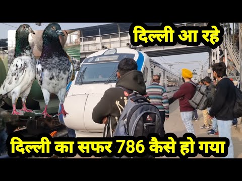 786 Safar ka Total Number Ban Gaya Dehli Aa RAHE