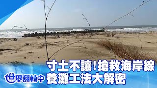 寸土不讓! 搶救海岸線「養灘」工法大解密 世界翻轉中 20220320