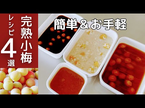 簡単＆お手軽！完熟小梅でできる梅仕事４種のレシピ