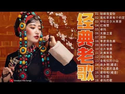 【经典老歌】姑娘我爱你／我和草原有个约定／呼伦贝尔大草原／红梅赞／卓玛 | 80、90年代经典老歌尽在️ 🎤 The Nice Tibetan Chinese songs