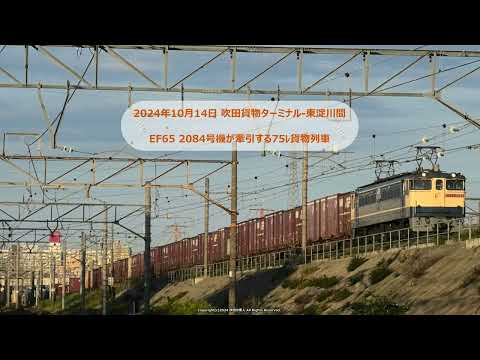 坂を駆け上がってくるEF65 2084号機牽引の75ﾚ貨物列車の撮影です。（R6.10.14）