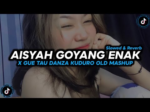 DJ Aisyah Goyang Enak x Gue Tau Danza Kuduro Old Mashup - Slowed & Reverb 🎧