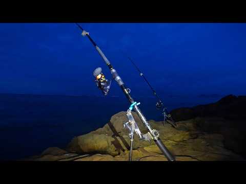 夜の海で大物釣り