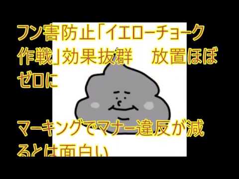 糞害　憤慨　イエローチョーク作戦　放置ゼロ　効果抜群  通販で