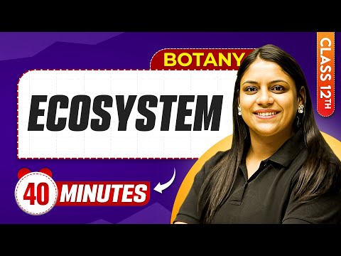 Ecosystem in 40 Minutes | Class 12th Botany | Mind Map Series