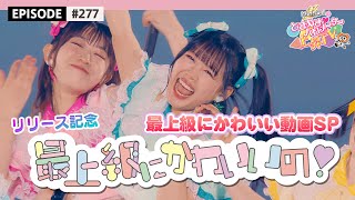 【最上級🌟】最上級にかわいいの！リリース記念🎉 最上級にかわいい動画祭り🫶🥰 / epi.277