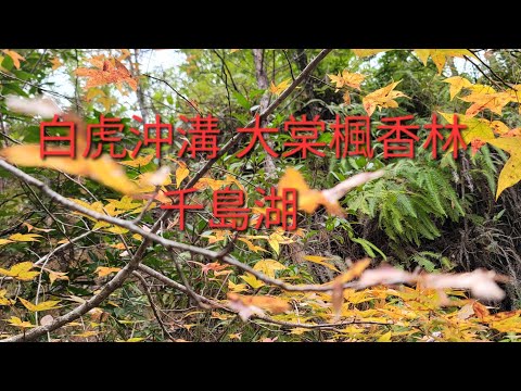 南坑牌 白虎沖溝 大棠楓香林 關帝廟 大欖涌千島湖 掃管笏