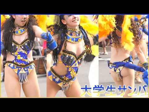 4K 大学生 浅草サンバカーニバル 2024 S1-⑤ ウニアン・ドス・アマドーリス Asakusa Samba Japan 追いかけバージョン