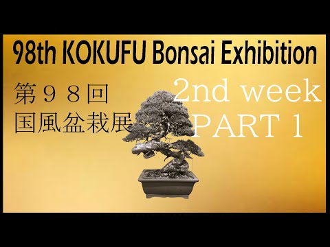 98th KOKUFU BONSAI EXHIBITION 2024 /02/14~17 2nd week. 第98回国風盆栽展（前期）PART.1