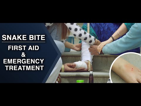 First Aid and Emergency Treatment - Snake Bite : MARATI