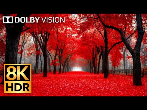 HDR 8K 60fps Dolby Vision Experience - Mind-Blowing Visuals