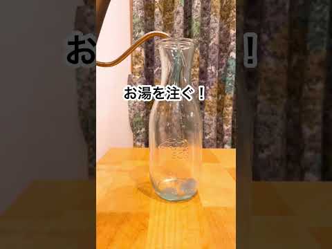 のど飴なめればいいじゃん！って？飴なめられない時あるじゃん？こどももこれなら水筒に入れて学校行ける！？ノンシュガーだし最高なんよ💛#節約主婦 #shorts