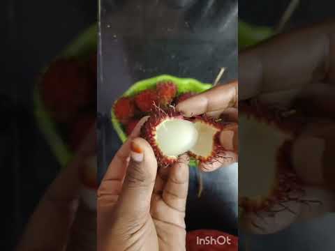 Rambutan/How to cut Rambutan Fruit/ #rambutan #rambutanfruit #fruit #fruitcutting #shorts #trending