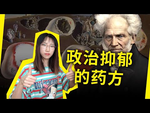 这本书竟然治好了我的“政治抑郁”？！叔本华——《一个悲观主义者的积极思考》