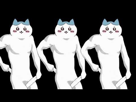 【ちいかわ】ハチワレがおまたをこするだけの動画