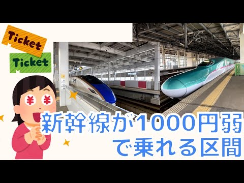 新幹線に大人1000円程で乗れる格安区間６選 紹介【お得新幹線】