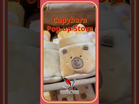 CAPYBARA in SHENZHEN 2024 #capybara #shenzhen #chinatravel #travel #bakery #bread #baker #popupstore