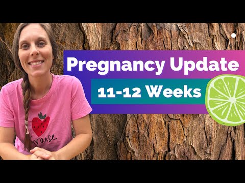 11-12 Week Pregnancy Update