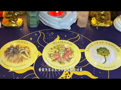 【塔羅牌占卜】冬至以後的生活