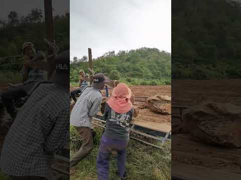 Stone Picking by hand