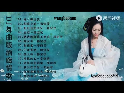 14首DJ舞曲版酒廊情歌💫缘+舞女泪+我只再乎你🧚‍♀️’