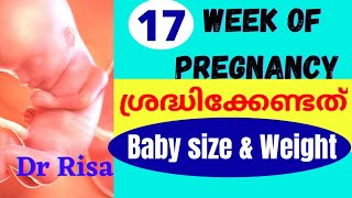 Pregnancy Week By Week Malayalam | 17 Week Pregnant