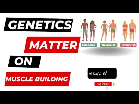 good genetics for building muscle and strength || how to overcome genetics || the impact of genetics