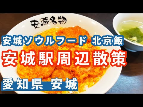 【愛知・ドーミーインEXPRESS三河安城】安城ソウルフート「北京飯」を大行列の末にゲット！　三河安城駅周辺をご紹介。　北京本店 / しゃもじや