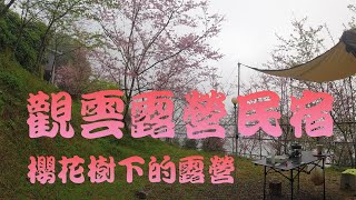 車泊|Vanlife|新竹五峰|觀雲露營民宿|櫻花樹下露營|山上人家櫻花