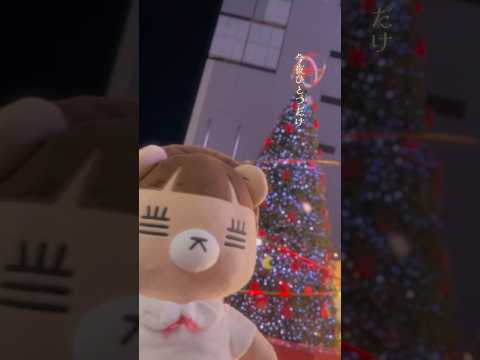 れ子ちゃんのイルミネーションVlogをお届け🎁🐻　メリークリスマス🎄❤️ #christmas #クリスマス #xmas #Vlog #コレサワ