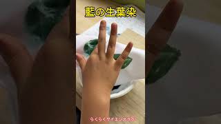 藍の生葉染め　洗って空気にさらすとインジゴの藍色が冴えてきます