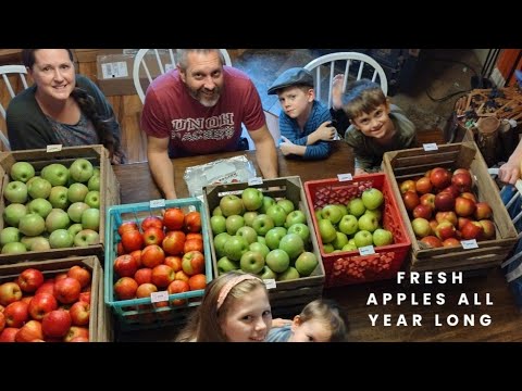 Best Storage For Fresh Apples ~ Plus Planting Garlic