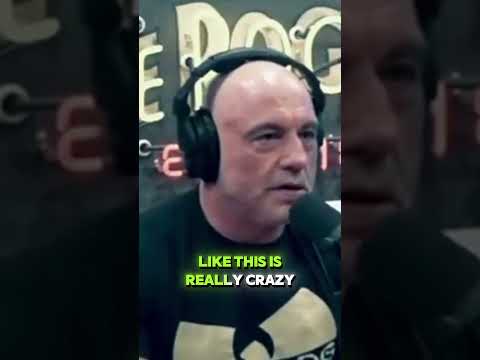 What Happens When Joe Rogan Meets CRAZY Guests?