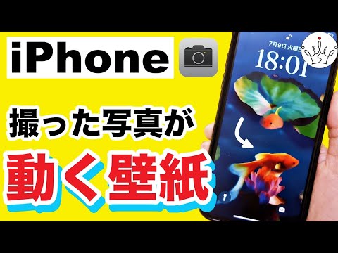 【iPhone】ロック画面に動く壁紙を設定する方法！Live Photos