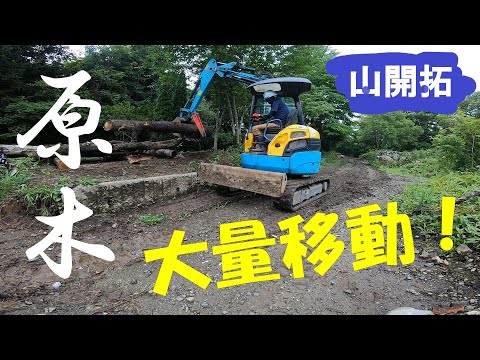 【山開拓】伐採した原木をミニユンボで土場に大量移動！