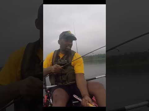 3lb Largemouth on a Shakey Head #beginnerfishing #bassfishing #kayakfishing #shorts