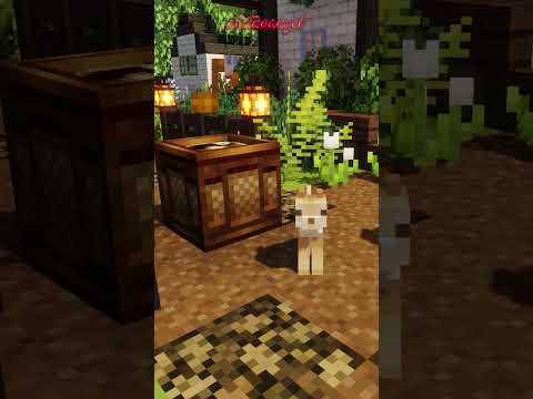 Cats Jamming to Minecraft Music! #shorts #minecraft #minecraftmods