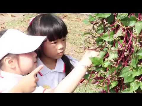 [幼稚園部17-18年] - 高班參觀西貢蕉坑