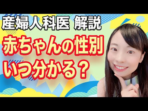 【ママ産婦人科医解説】あかちゃんの性別いつ分かる？【性別決まるしくみ】