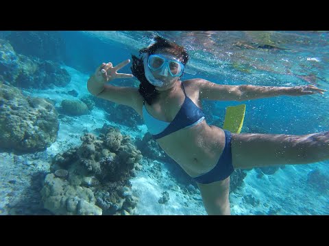 | TAHITI TRAVEL VLOGS | Day six: Swimming with sharks and stingrays in Bora Bora!!