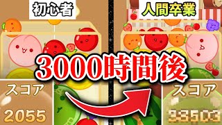 【スイカゲーム】初心者が3000時間を経て人間をやめるまでの記録