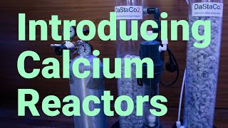 Introducing Calcium Reactors, how they work & why you should consider one