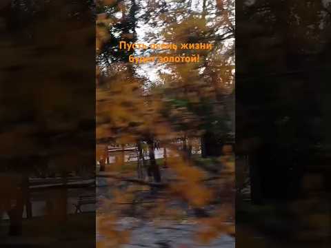 Омск❤ 6 октября🍂🍁 #music