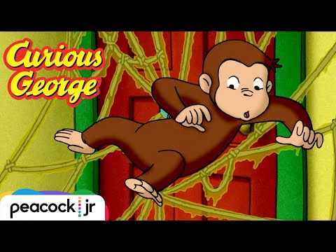 George the Spider Monkey?🕷️🕸️🐵 | CURIOUS GEORGE