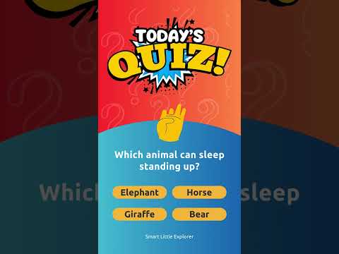 Today's Animal Quiz 02 #quiz