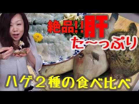 ウマヅラハギ、カワハギの２種を捌いて食べ比べ 絶品！肝た～っぷり