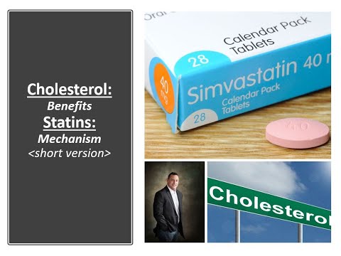 Statins- What Is The Mechanism?